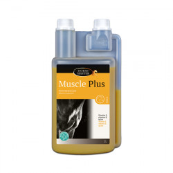MUSCLE PLUS